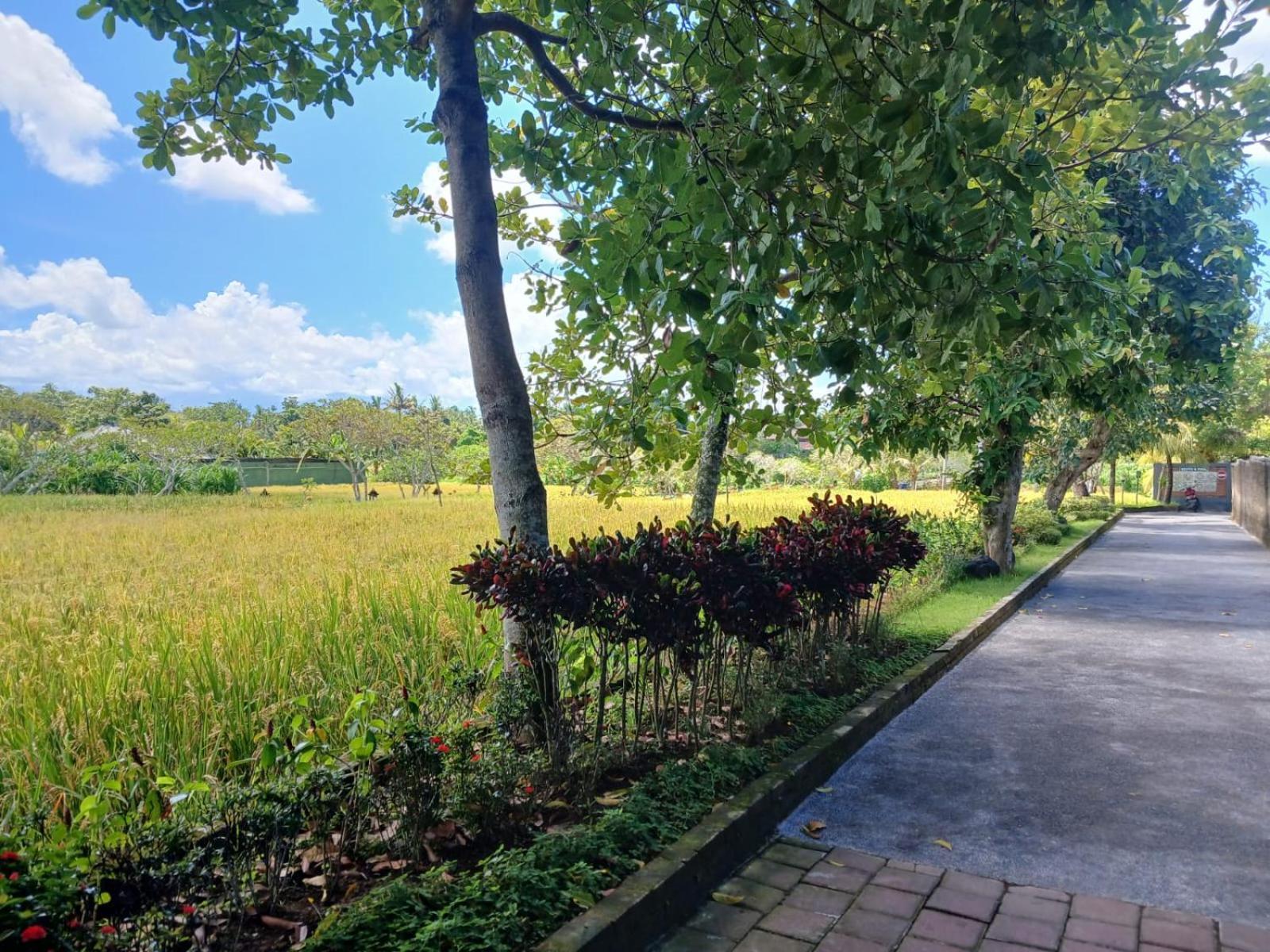 Kartika Dahayu Private Pool Villas Sukawati Exterior foto